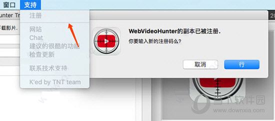 WebVideoHunter Pro