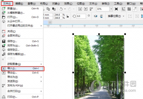 coreldraw怎麼去除底色消除方法教程